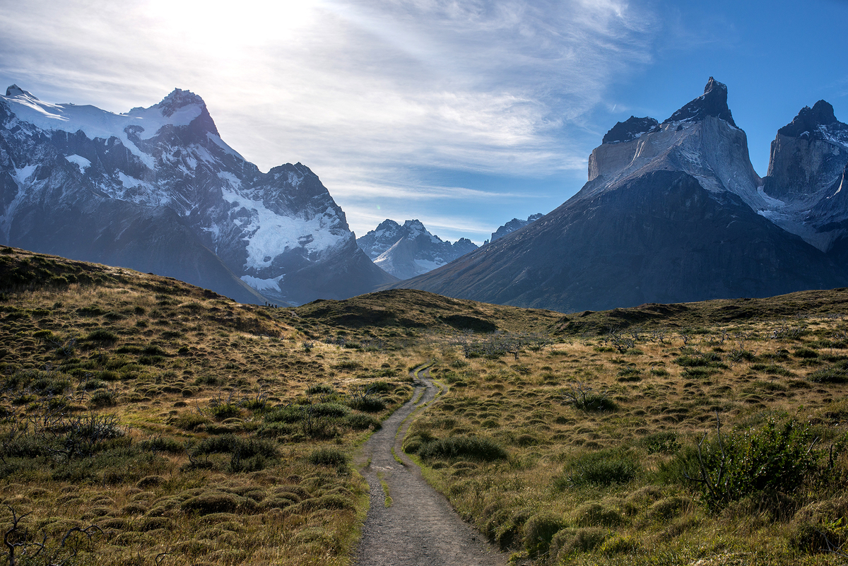Parque Nacional Torres del Paine. Foto: Constanza Alvarez